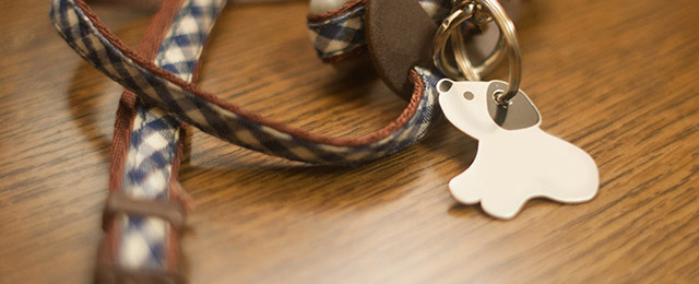 ペットが旅立ったときの手続きのイメージ