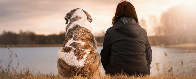 「ペット終活」に必要な3つのことのイメージ
