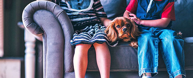 実際にあったペット葬トラブルとその対策のイメージ