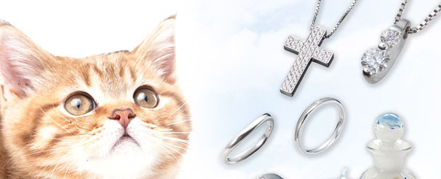 ペットのお葬式、その後はのイメージ