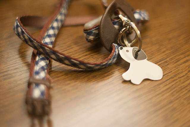 ペットが旅立ったときの手続きイメージ