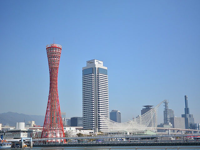 犬にだけ予防接種や死亡時の届け出が必要な理由のイメージ