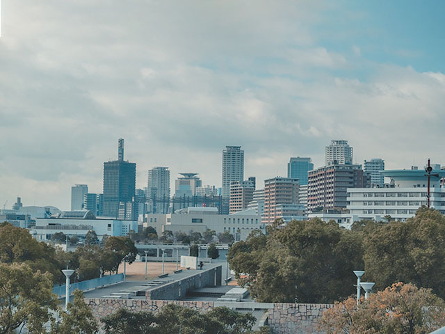 犬にだけ予防接種や死亡時の届け出が必要な理由のイメージ